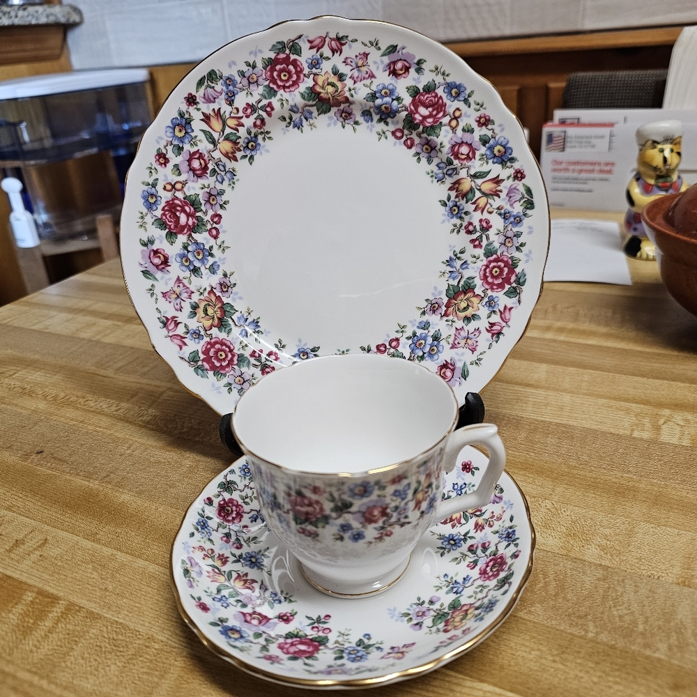 Staffordshire fine bone English China